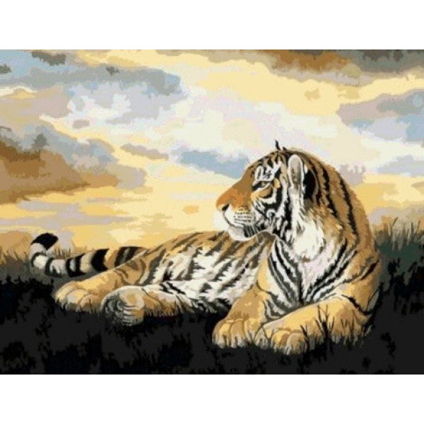 Animal Tiger Diy Paint By Numbers Kits Australia