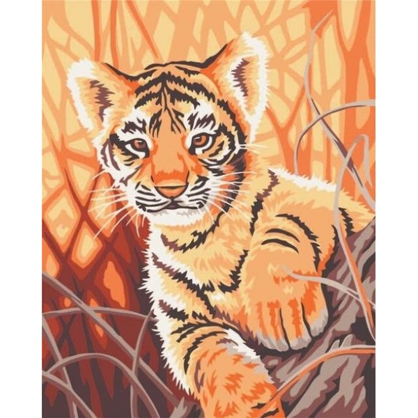 Animal Tiger Diy Paint By Numbers Kits Australia