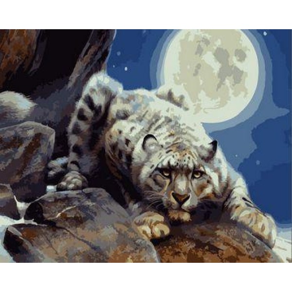 Animal Tiger Diy Paint By Numbers Kits Australia