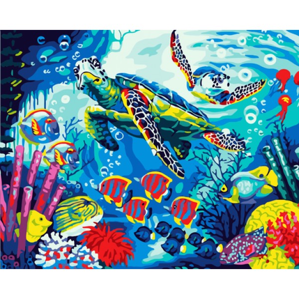 Turtle Diy Paint By Numbers Kits MA224 Australia