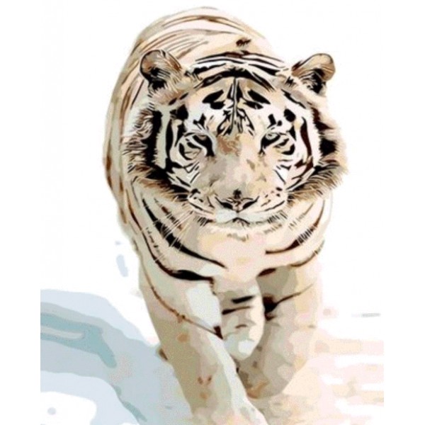 Animal Tiger Diy Paint By Numbers Kits Australia