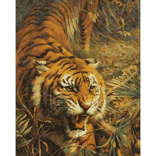 Animal Tiger Diy Paint By Numbers Kits Australia