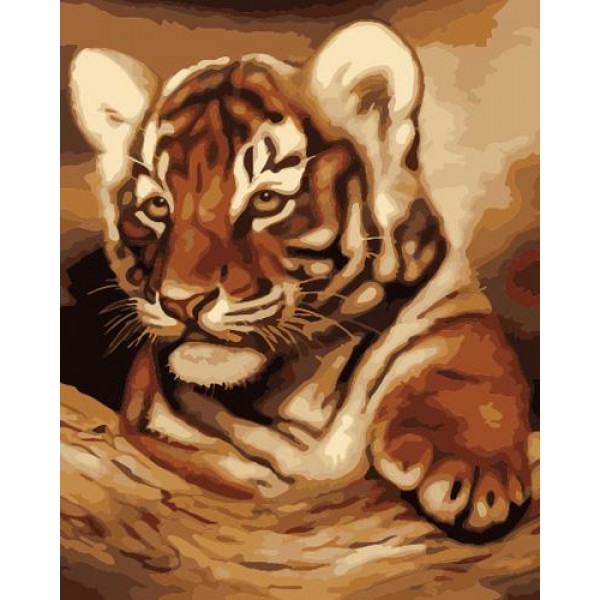 Animal Tiger Diy Paint By Numbers Kits Australia