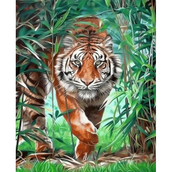 Animal Tiger Diy Paint By Numbers Kits Australia